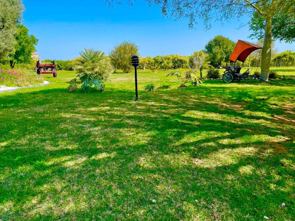 Casa Pepa Con Encanto Ondara Buitenkant foto